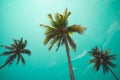 Coconut palm trees - Tropical summer breeze holiday, Vintage ton Royalty Free Stock Photo