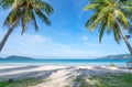 Coconut palm trees and turquoise sea in phuket patong beach. Summer nature vacation and tropical beach background concept Royalty Free Stock Photo
