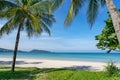 Coconut palm trees and turquoise sea in phuket patong beach. Summer nature vacation and tropical beach background concept Royalty Free Stock Photo