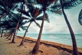 Coconut palm trees and white sand in Bois Jolan beach at sunset Royalty Free Stock Photo