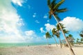 Coconut palm trees and white sand in Sombrero Beach in Florida Keys Royalty Free Stock Photo