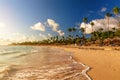 Coconut palm trees on white sandy beach against colorful sunset in Punta Cana, Dominican Republic Royalty Free Stock Photo