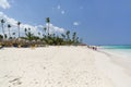 Palm and tropical beach, Dominican Republic