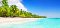Coconut Palm trees on white sandy beach in Caribbean sea, Saona island Royalty Free Stock Photo