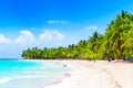 Coconut Palm trees on white sandy beach in Punta Cana, Dominican Republic Royalty Free Stock Photo