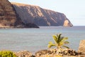 A coconut palm and the wild coasts of Easter Island with the cliffs of the Poike volcano. Easter Island, Chile Royalty Free Stock Photo