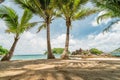 Coconut palms against the tropical beach, view from below. Tropical paradise idyllic background. Coco palms with Royalty Free Stock Photo