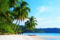 Coconut palms beach Royalty Free Stock Photo