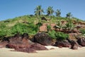 Coconut palms on the beach . Arambol, Goa Royalty Free Stock Photo