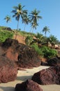 Coconut palms on the beach . Arambol, Goa Royalty Free Stock Photo