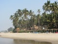 Coconut palms on the beach on the ocean Royalty Free Stock Photo