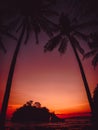 Coconut palms and bright sunset at beach with ocean Royalty Free Stock Photo