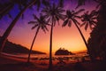 Coconut palms and bright sunset at tropical beach Royalty Free Stock Photo