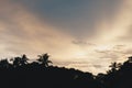 Coconut palms at pink tropical sunset over calm Royalty Free Stock Photo