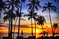 Coconut palms on sand beach in tropic on sunset Royalty Free Stock Photo