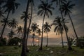 Coconut palms on sand beach in tropic on sunset Royalty Free Stock Photo