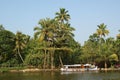 Coconut palms on the shore of the lake Royalty Free Stock Photo