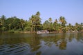 Coconut palms on the shore of the lake Royalty Free Stock Photo