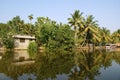 Coconut palms on the shore of the lake. India Royalty Free Stock Photo