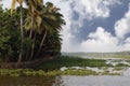 Coconut palms on the shore of the lake. Kerala Royalty Free Stock Photo