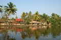 Coconut palms on the shore of the lake. Kerala, South India Royalty Free Stock Photo