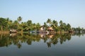 Coconut palms on the shore of the lake. Kerala, South India Royalty Free Stock Photo