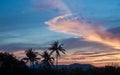 Coconut palms silhouette on dramatic clouds sky sunset background. Royalty Free Stock Photo