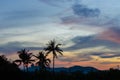 Coconut palms silhouette on dramatic clouds sky sunset background. Royalty Free Stock Photo