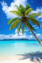 Coconut palms on a sunny sandy beach and turquoise ocean. Royalty Free Stock Photo