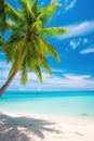 Coconut palms on a sunny sandy beach and turquoise ocean. Royalty Free Stock Photo