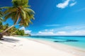 Coconut palms on a sunny tropical sandy beach and turquoise ocean. Royalty Free Stock Photo