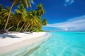 Coconut palms on a sunny tropical sandy beach and turquoise ocean. Royalty Free Stock Photo