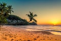 Coconut palms at sunset over tropical beach