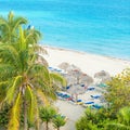 Coconut palms and thatched umbrellas in a cuban beach