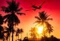Coconut palms tree and airplane
