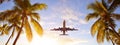 Coconut palms tree and airplane at sunset. Passenger plane above tropical island. Royalty Free Stock Photo
