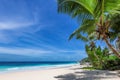 Coconut palms on tropical sanny beach and turquoise sea in Hawaii island. Royalty Free Stock Photo