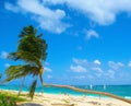 Coconut palms on white sandy beach, Caribbean Sea coast, Dominican republic Royalty Free Stock Photo