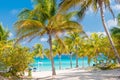 Coconut palms and white sandy beach in Cuba