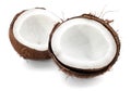 Coconut parts on white background