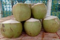 Coconut is a perennial plant. Belonging to the family of palm. Coconut is a plant which can be used in many ways. Royalty Free Stock Photo