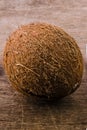 Coconut Royalty Free Stock Photo