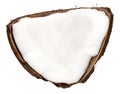 Coconut pieces isolated on white background with clipping path Royalty Free Stock Photo