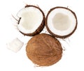 Coconut pieces isolated on white background with clipping path Royalty Free Stock Photo