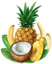 Coconut, pineapple and bananas