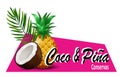 coconut and pineapple Realistic illustration