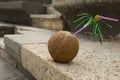 Coconut with pink cocktail tube