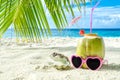 Coconut, pink sunglasses and seashell on sand close-up Royalty Free Stock Photo