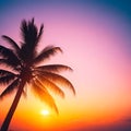 Coconut plam trees and sun shine with blue clear sky on the beach. Coconut Palm Trees Against Sun. Coconut palm trees under blue