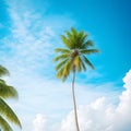 Coconut plam trees and sun shine with blue clear sky on the beach. Coconut Palm Trees Against Sun. Coconut palm trees under blue